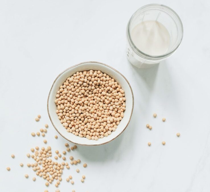 A Simple Recipe for the best Soy milk