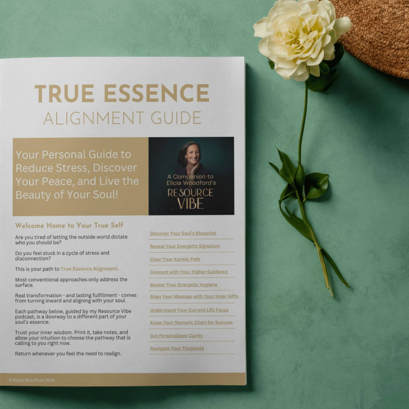 True Essence Alignment Free Guide Elicia Woodford's Resource Vibe